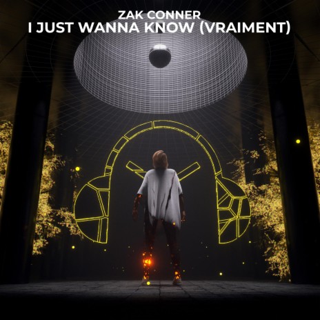 I Just Wanna Know (Vraiment) | Boomplay Music