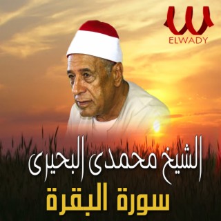 El Sheikh Mohamady El Behery