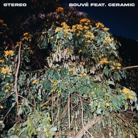 Stereo ft. Bouvé | Boomplay Music