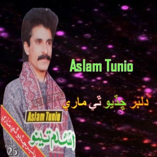 Aslam Tunio, Vol. 125 DILBER CHHADYO THI MARE