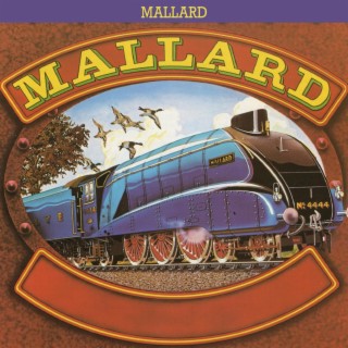 Mallard