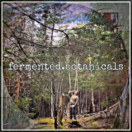 fermented.botanicals | Boomplay Music