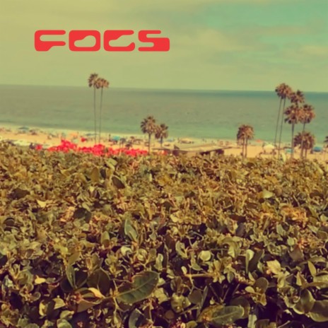Fogs | Boomplay Music
