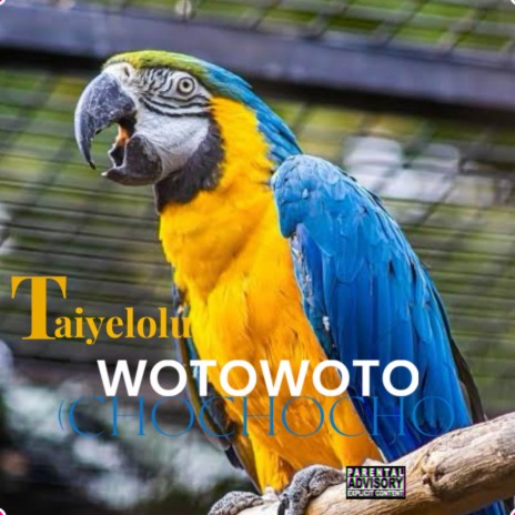 Wotowoto (Chochocho) | Boomplay Music
