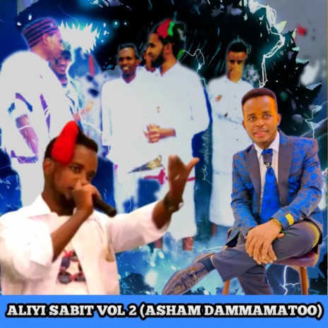 No,8 Aliyi sabit oromo music asham dammatoo | Boomplay Music