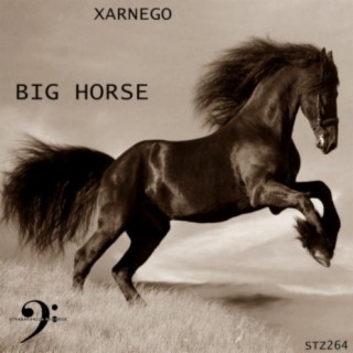 Xarnego