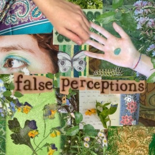 false perceptions