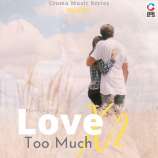 Love- Too Much (feat. Pramit Vighne)