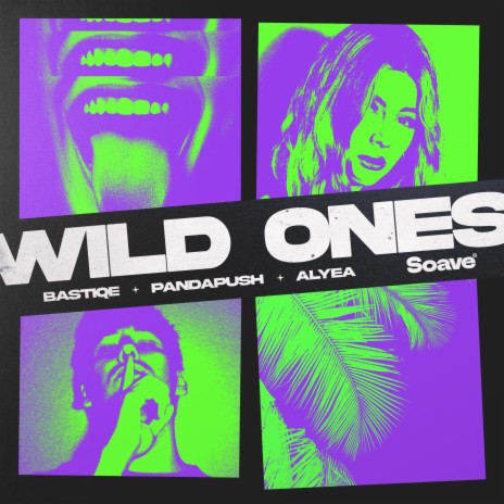 Wild Ones ft. Pandapush & Alyea | Boomplay Music