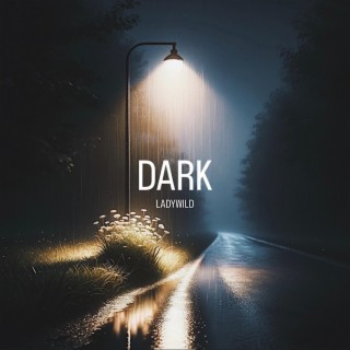 Dark lyrics | Boomplay Music