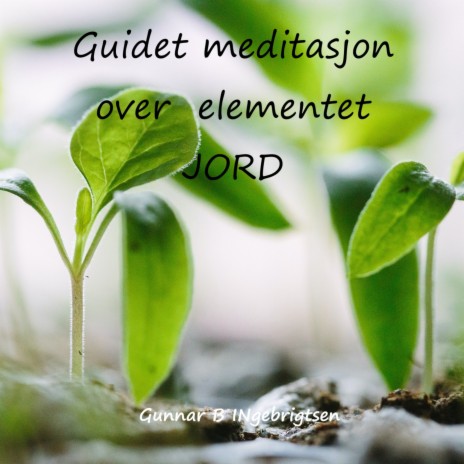 Guidet meditasjon over elementet JORD | Boomplay Music