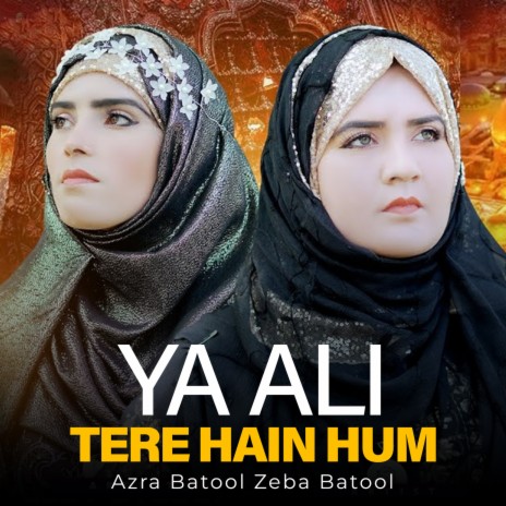 Ya Ali Tere Hain Hum ft. Zeba Batool | Boomplay Music