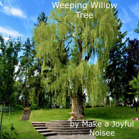 Weeping Willow Tree | Boomplay Music