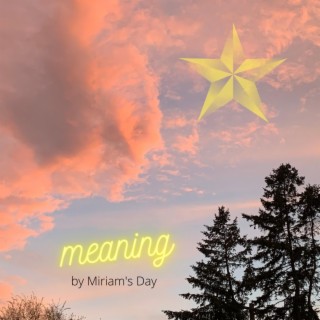 What is the meaning? lyrics | Boomplay Music