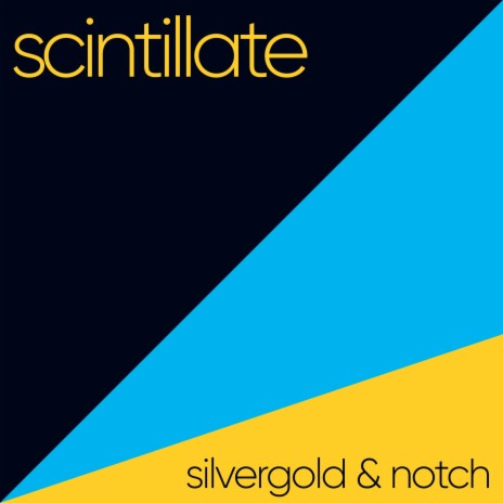 Scintillate (Radio Edit) ft. Notch