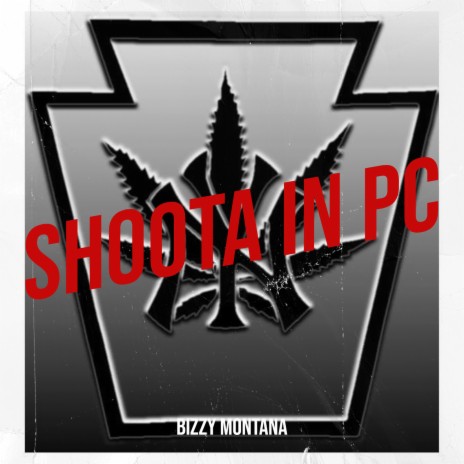 Shoota in Pc | Boomplay Music