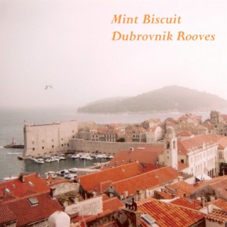 Dubrovnik Rooves
