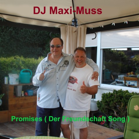 Promises (Der Freundschaft Song) | Boomplay Music