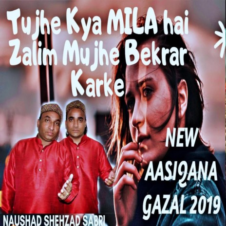 Tujhe Kya Mila Hai Zalim | Boomplay Music