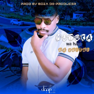 Zwa Mulovha ft. King Kariba SA lyrics | Boomplay Music