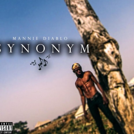 Synonym | Boomplay Music