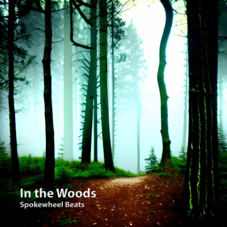 In the Woods | Boomplay Music