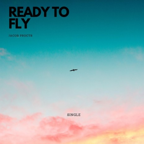 ReadyTo Fly | Boomplay Music