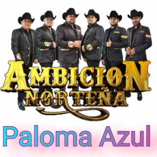 Paloma Azul lyrics | Boomplay Music