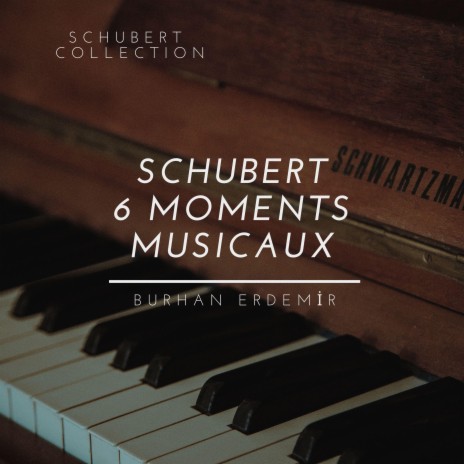 6 Moments musicaux, Op. 94 (D.780): V - Allegro vivace in F Minor ft. Franz Schubert