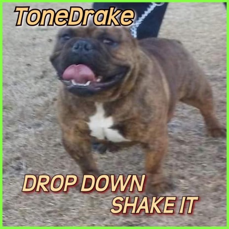 Drop Down Shake It