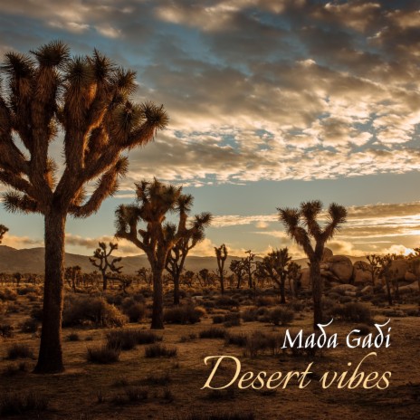 Desert Vibes | Boomplay Music