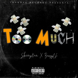 Too Much ft. SkinnyDan lyrics | Boomplay Music