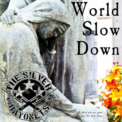 World Slow Down | Boomplay Music