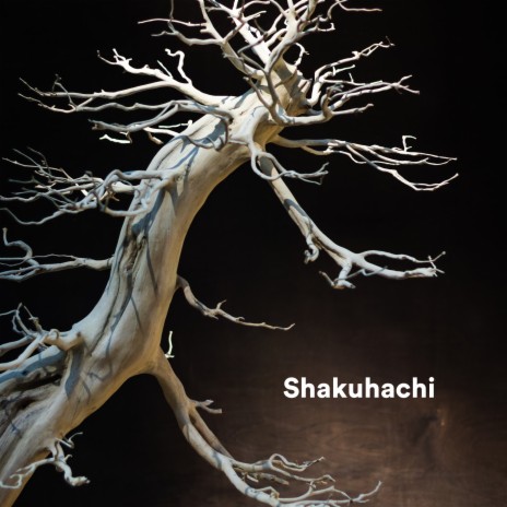 Shanti ft. Japanese Zen Shakuhachi & Meditation Music | Boomplay Music