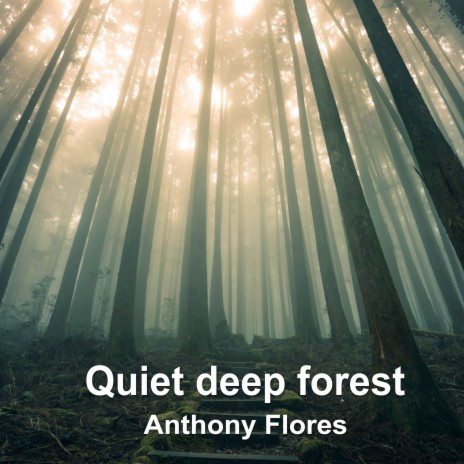 Quiet deep forest | Boomplay Music