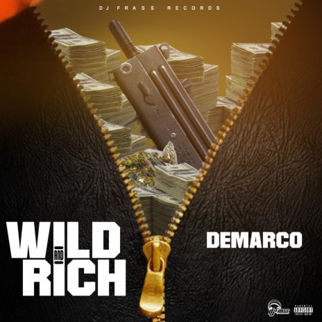 Wild and Rich | Boomplay Music