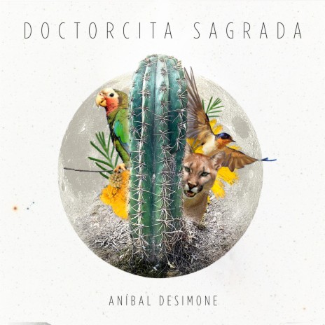 Doctorcita Sagrada | Boomplay Music