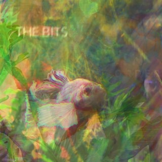 the bits