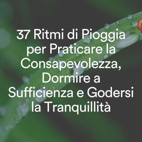 Suoni melodici della pioggia per la pace e la calma, pt. 19