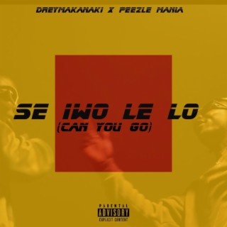 Se Iwo Le Lo (Can You Go)