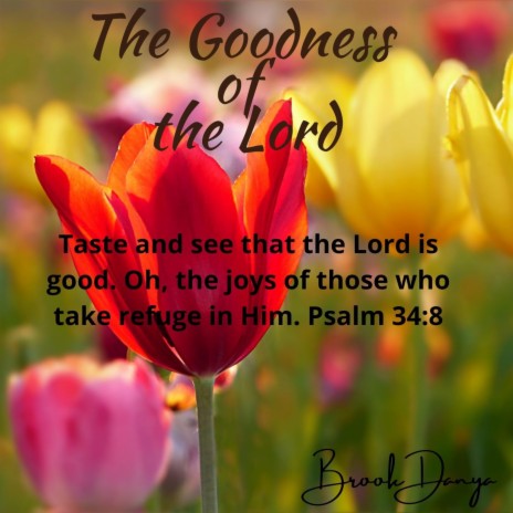 The Goodness of the Lord | Boomplay Music