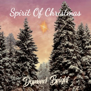 Spirit Of Christmas