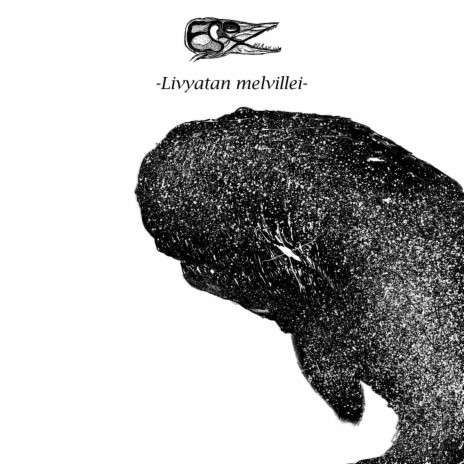 Livyatan melvillei | Boomplay Music