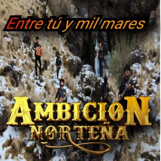 Entre tú y mil mares lyrics | Boomplay Music