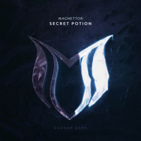 Secret Potion | Boomplay Music