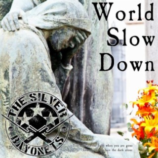 World Slow Down