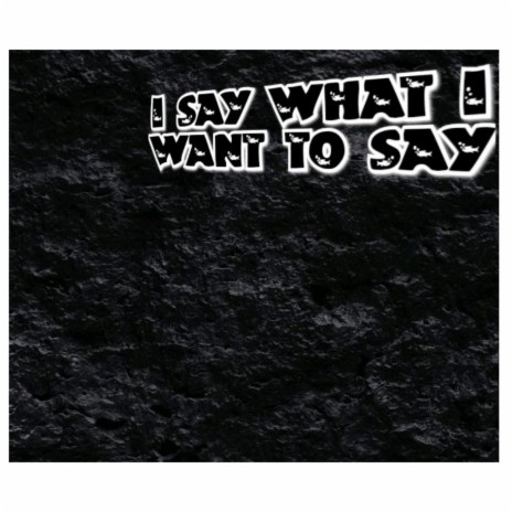 I SAY WHAT I WANT TO SAY | Boomplay Music