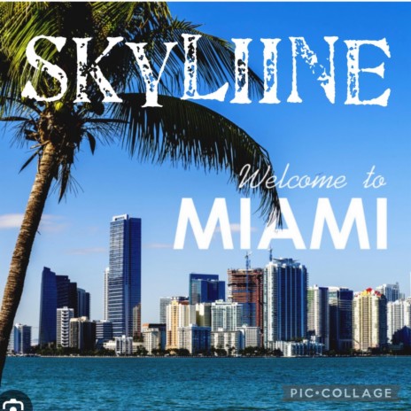 (Miami) Dade County | Boomplay Music