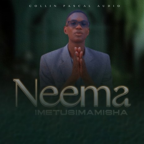 Neema Imetusimamisha (Classic) | Boomplay Music