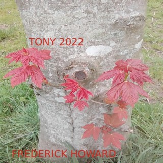 Tony 2022